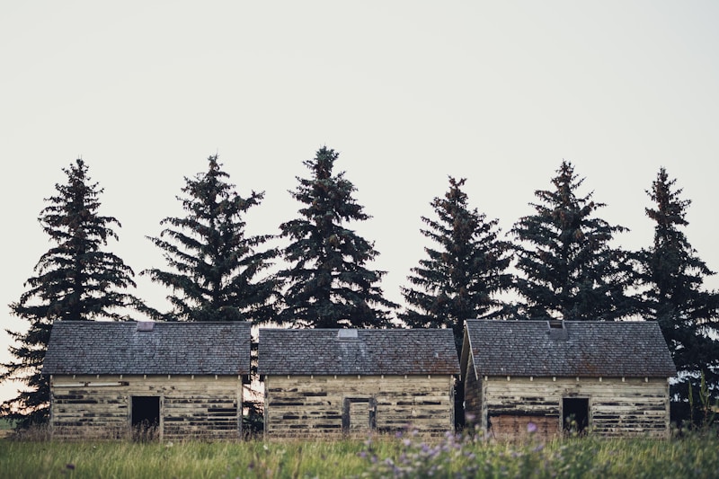 Exploring Charming Barn Venue Styles for Your Perfect Event