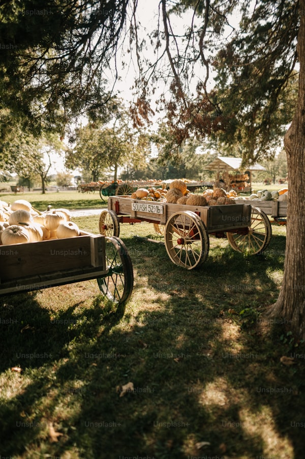 Exploring Vintage-Inspired Wedding Transportation: The Ultimate Guide for Your Dream Wedding