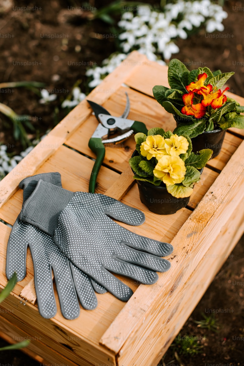 Bespoke Glove Creations for the Wedding: A Perfect Touch of Elegance