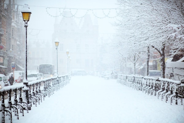 Elegant Wedding Dress Ideas for a Winter Wonderland Theme