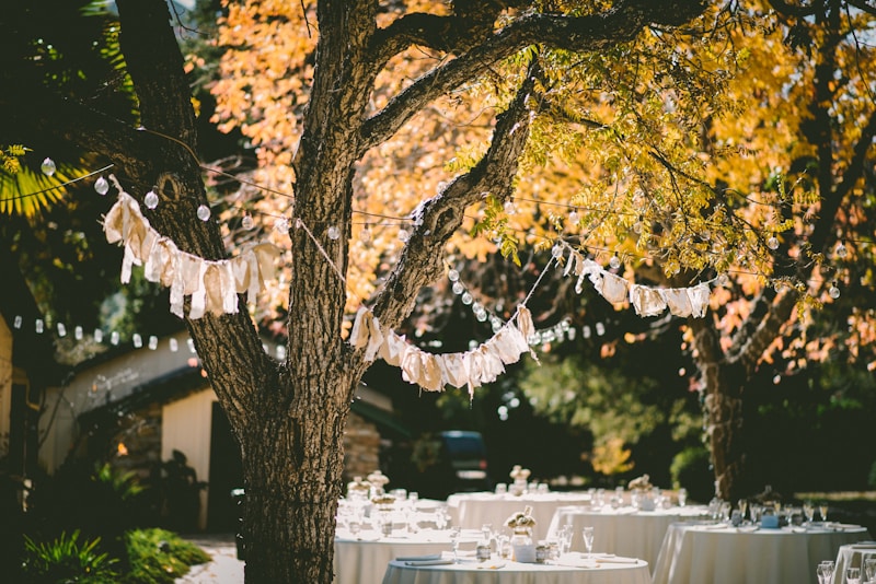 Explore Adventurous Outdoor Ceremony Ideas for Your Unforgettable Celebration