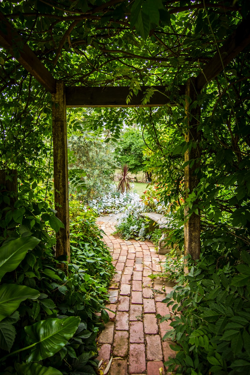 The Serenity of Garden Atmosphere: A Comprehensive Guide to Achieving Tranquility