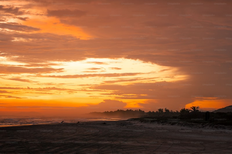 Stunning Beach Wedding Photography Ideas to Capture Your Special Day