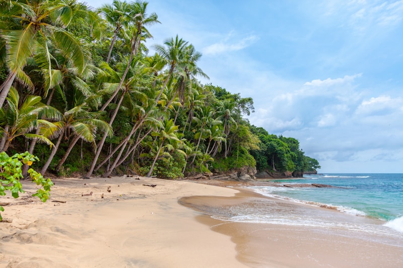 Seaside Vows and Attire: Your Ultimate Guide to a Dreamy Beach Wedding