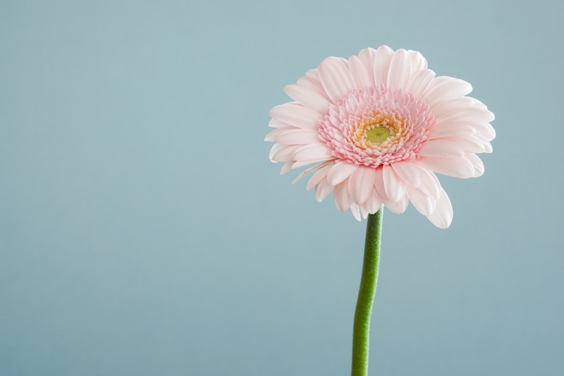 Jeweled Delights: Flower Girl Jewelry to Add Sparkle to Your Ceremony