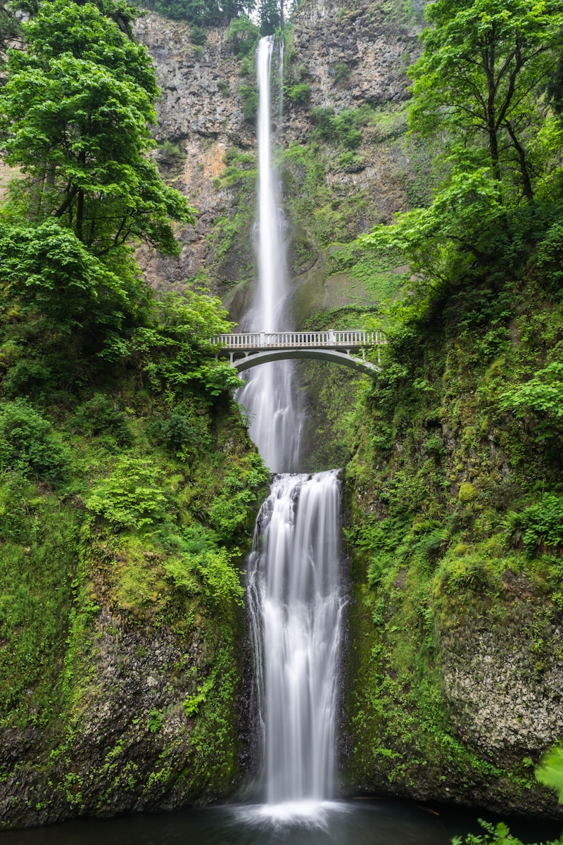 Celebrating Love in the Great Outdoors: A Romantic Guide for Nature Enthusiasts