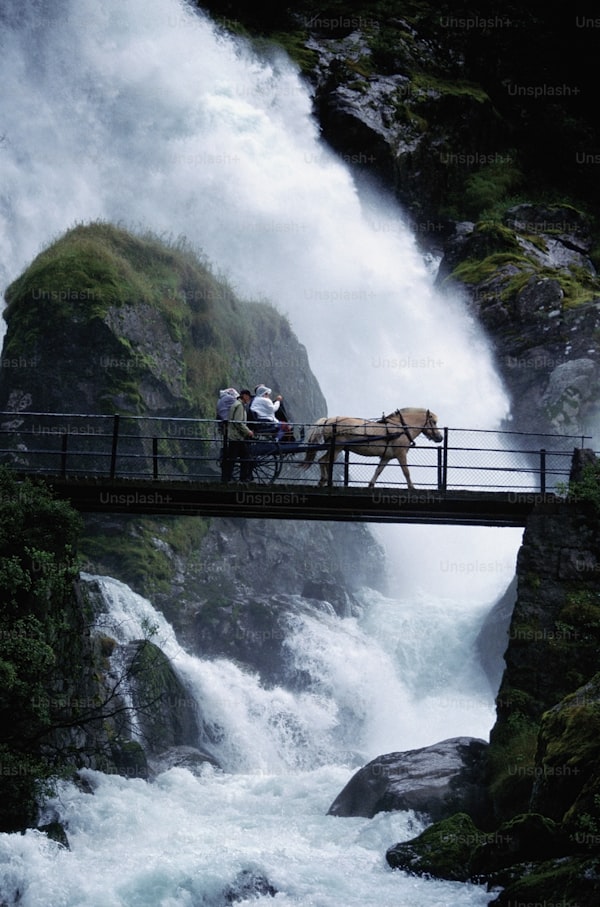 Elegant Wedding Dress Options with a Waterfall Train