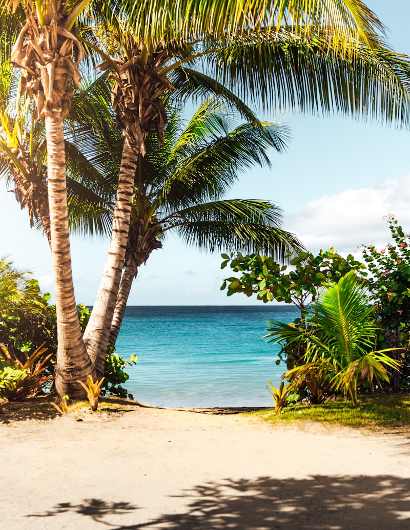 Essential Guide to Casual Beach Wedding Dresses: Finding the Perfect Fit for Your Dream Day