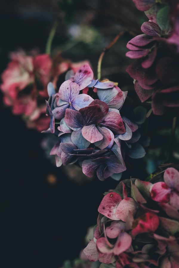 Lace-Trimmed Flower Baskets: A Beautiful Blend of Elegance and Nature