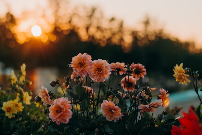 Flower Girl Attire Inspiration: Creating the Perfect Look for Your Little One