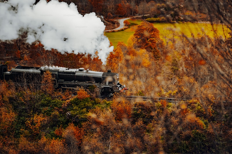 The Historical Significance of Trains: A Journey Through Time