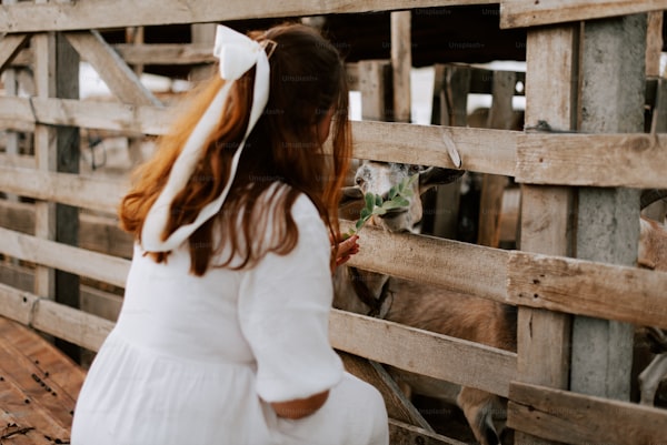 How Do I Choose a Wedding Dress for a Barn Wedding? A Complete Guide