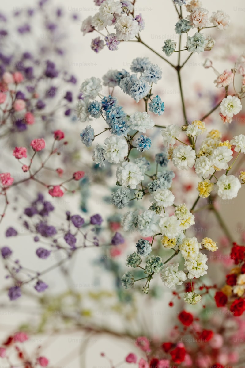 Exploring Seasonal Floral Color Palettes: A Guide to Seasonal Beauty