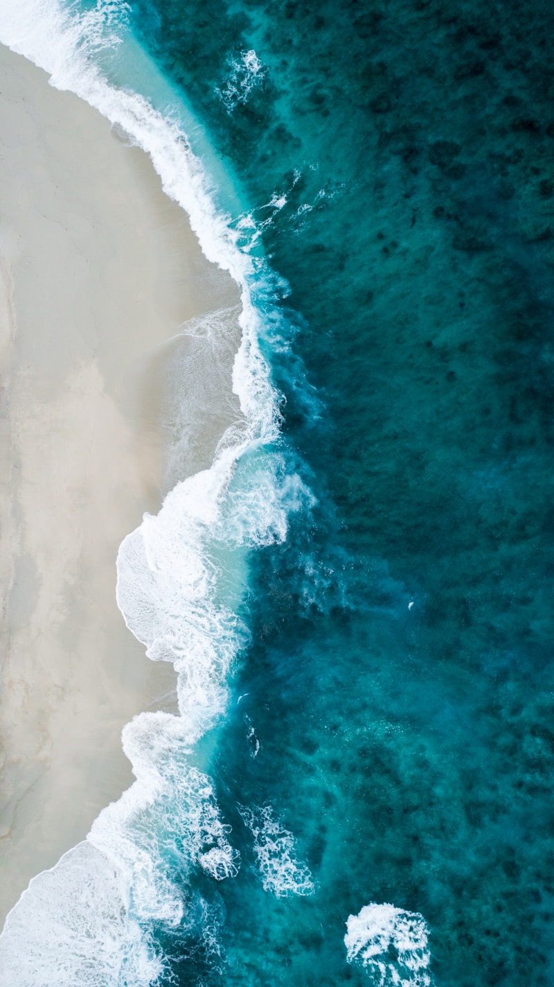 Creating the Perfect Beach Wedding Ceremony Setup