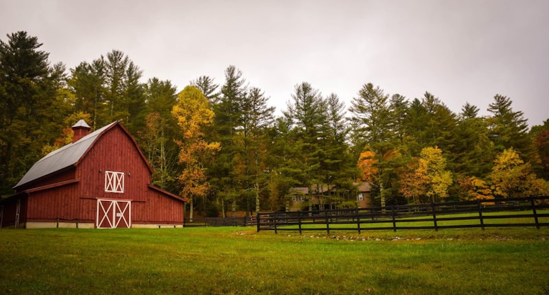 Exploring Farm to Table Wedding Concepts: A Fresh Approach to Your Special Day