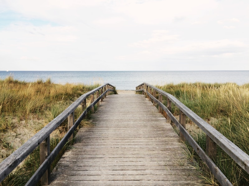 Rustic Beach Celebrations: Embracing Nature's Beauty for the Perfect Event