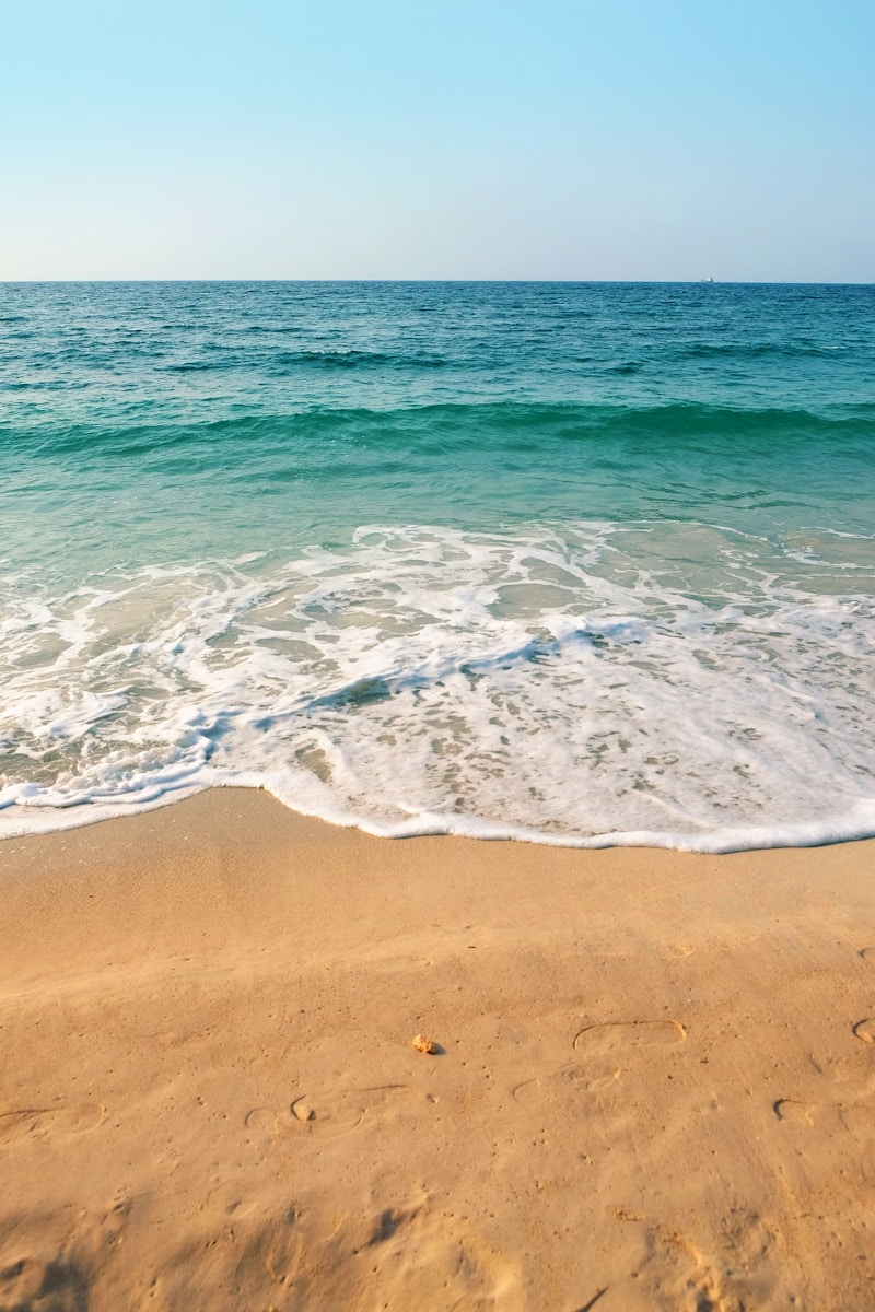 The Ultimate Guide to Beach Elopement Planning: Crafting Your Dream Coastal Wedding