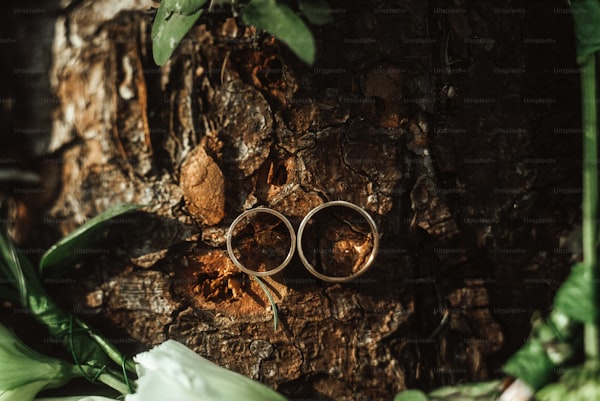 The Exquisite Charm of Bohemian Wedding Rings: A Trend That Captivates