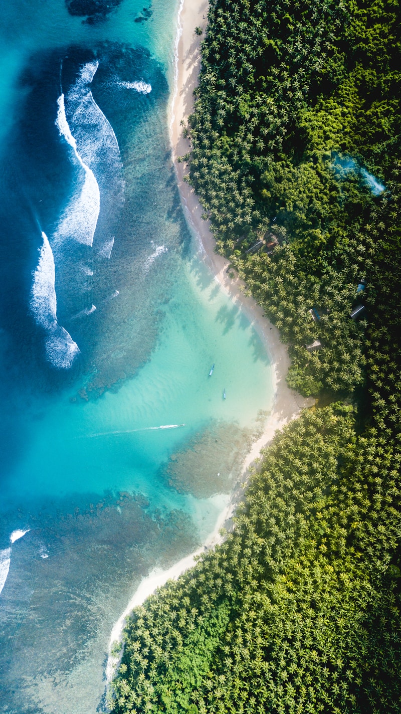 Discovering Unique Beach Bridal Experiences: The Ultimate Guide for Every Bride